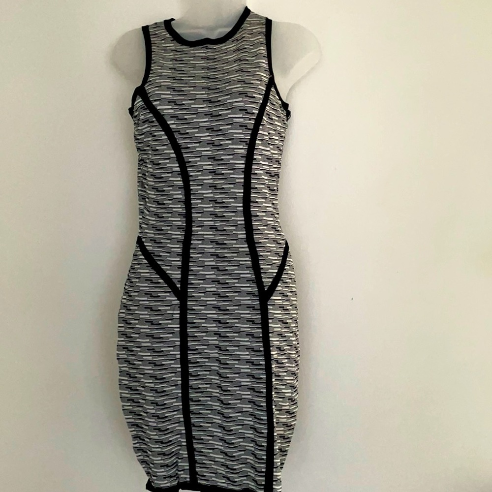Black & White stretch dress